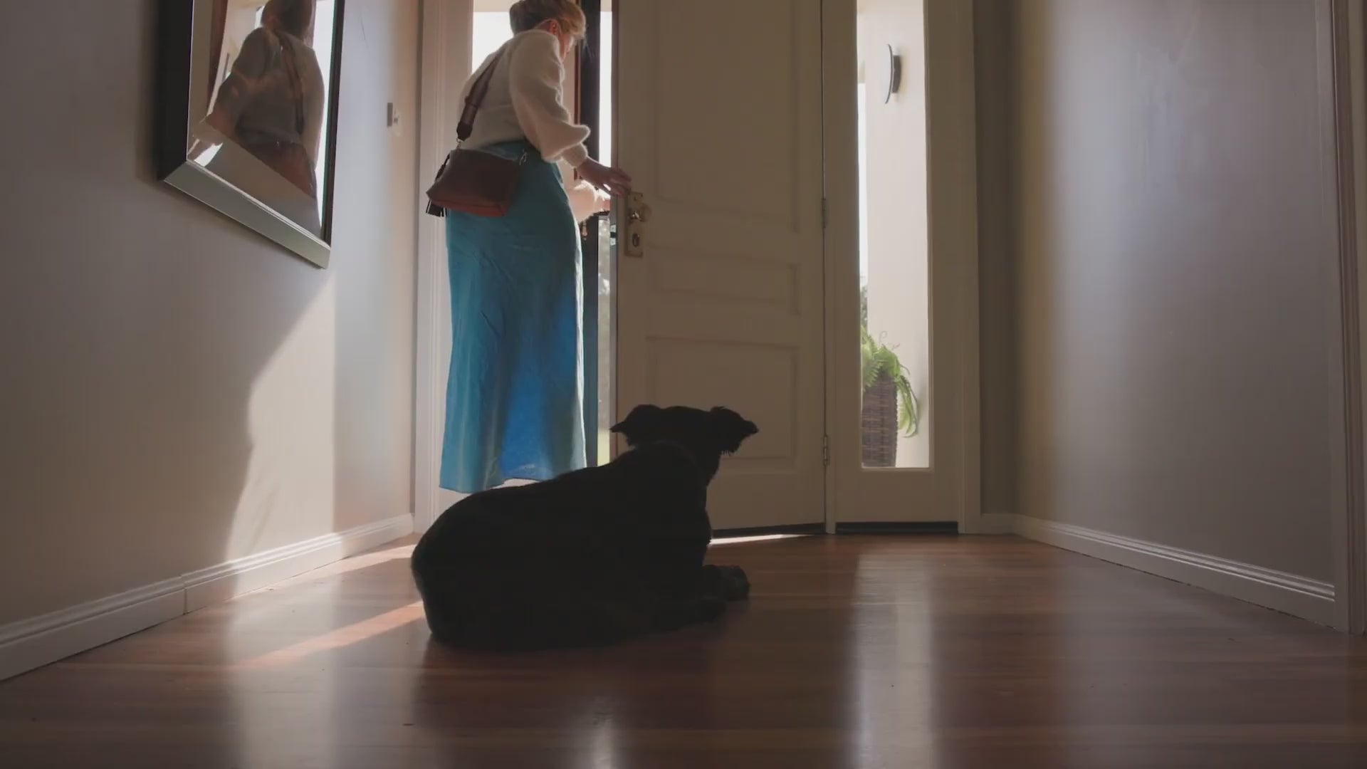 Load video: 